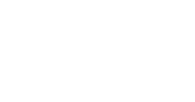 Logo S Fauzi